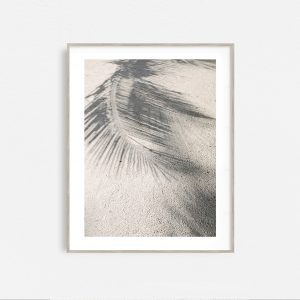 Sunny Dayz - Image 3