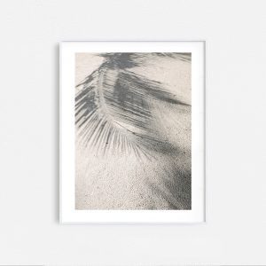 Sunny Dayz - Image 5