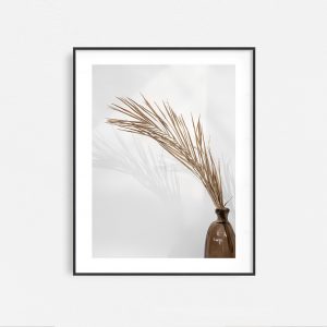 DRY BLOSSOM - Image 4