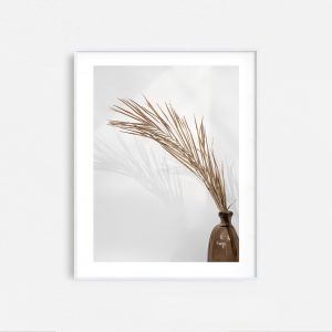 DRY BLOSSOM - Image 5