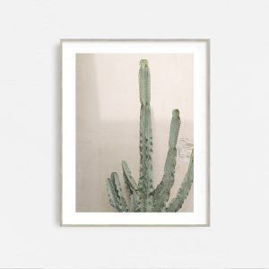 Desert Flora - Image 3