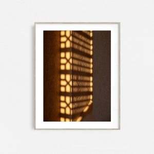 Morning Rise - Image 3