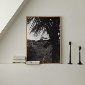 In the Jungle - Image 6