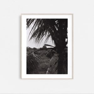 In the Jungle - Image 2