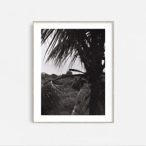 In the Jungle - Image 3