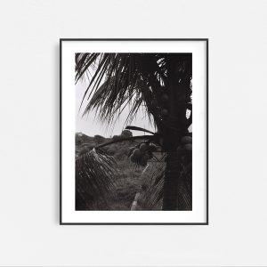 In the Jungle - Image 4