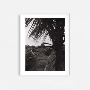 In the Jungle - Image 5