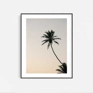 Lanka Life - Image 4