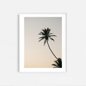 Lanka Life - Image 5