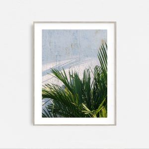 Indo - Image 3