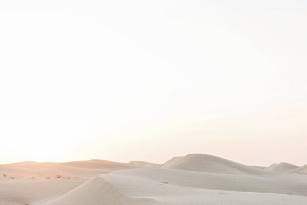 Desert Dreaming