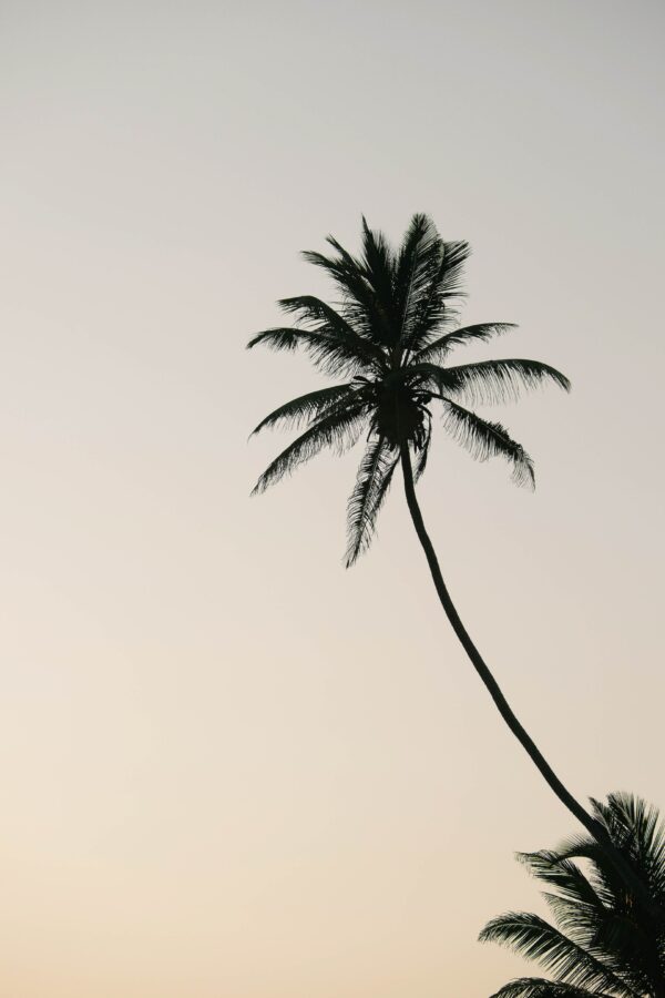 Lanka Life